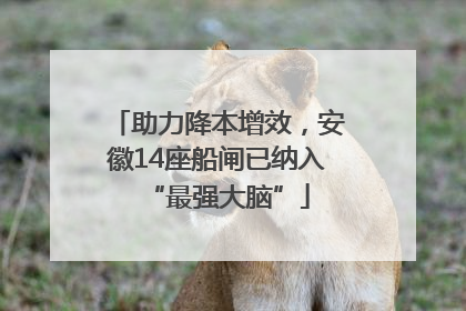 助力降本增效，安徽14座船闸已纳入“最强大脑”