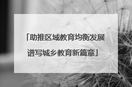 助推区域教育均衡发展 谱写城乡教育新篇章