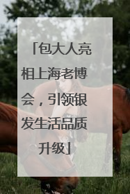 包大人亮相上海老博会，引领银发生活品质升级