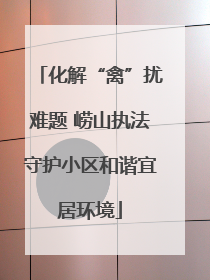 化解“禽”扰难题 崂山执法守护小区和谐宜居环境