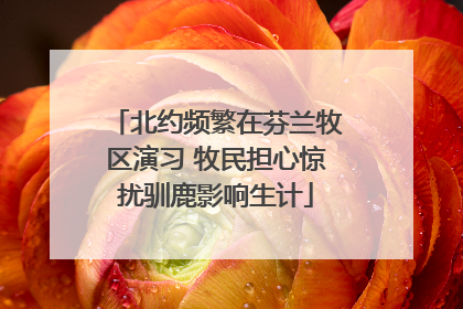 北约频繁在芬兰牧区演习 牧民担心惊扰驯鹿影响生计