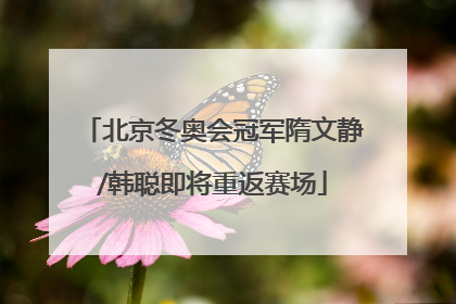 北京冬奥会冠军隋文静/韩聪即将重返赛场