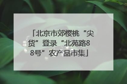 北京市郊樱桃“尖货”登录“北苑路88号”农产品市集