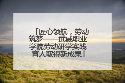 匠心领航，劳动筑梦——武威职业学院劳动研学实践育人取得新成果