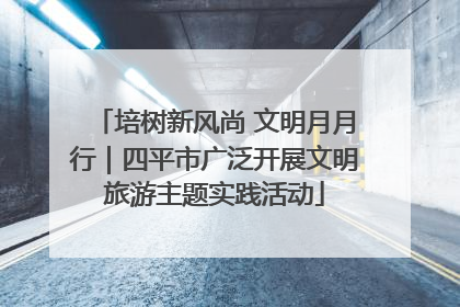 培树新风尚 文明月月行｜四平市广泛开展文明旅游主题实践活动