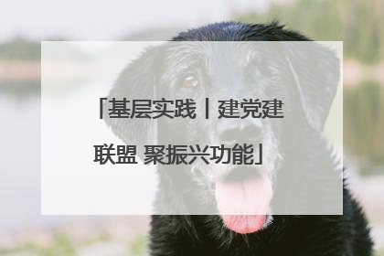 基层实践丨建党建联盟 聚振兴功能