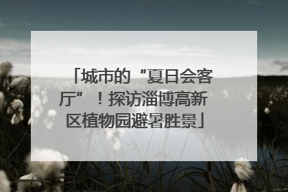 城市的“夏日会客厅”！探访淄博高新区植物园避暑胜景