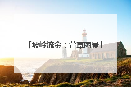 坡岭流金：萱草图景