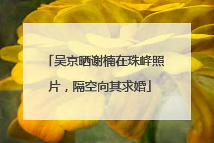吴京晒谢楠在珠峰照片，隔空向其求婚
