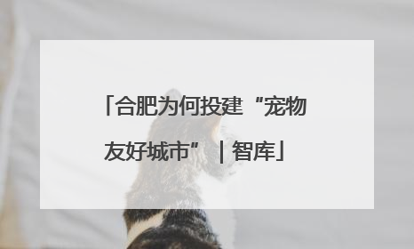 合肥为何投建“宠物友好城市”｜智库