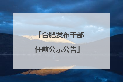 合肥发布干部任前公示公告