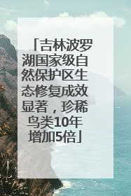 吉林波罗湖国家级自然保护区生态修复成效显著，珍稀鸟类10年增加5倍