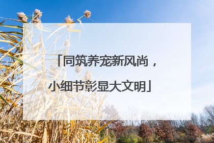同筑养宠新风尚，小细节彰显大文明