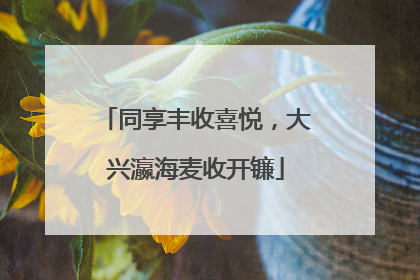 同享丰收喜悦，大兴瀛海麦收开镰