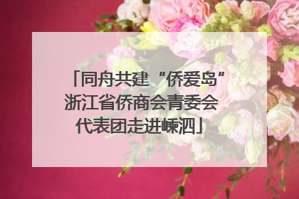 同舟共建“侨爱岛” 浙江省侨商会青委会代表团走进嵊泗