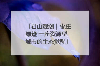 君山观潮｜枣庄绿迹 一座资源型城市的生态觉醒
