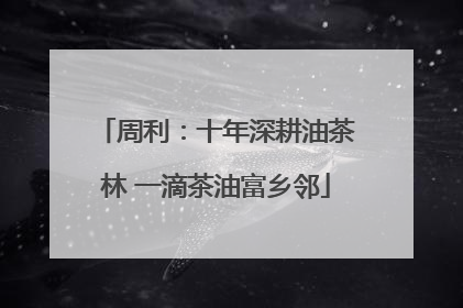 周利：十年深耕油茶林 一滴茶油富乡邻