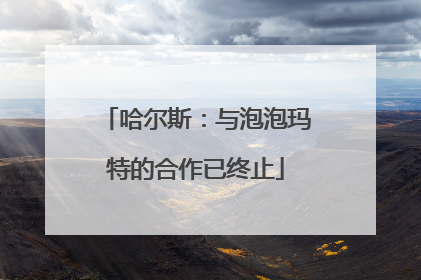 哈尔斯：与泡泡玛特的合作已终止