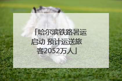哈尔滨铁路暑运启动 预计运送旅客2052万人