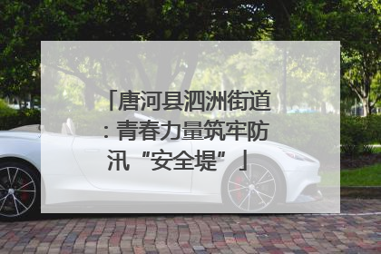 唐河县泗洲街道：青春力量筑牢防汛“安全堤”