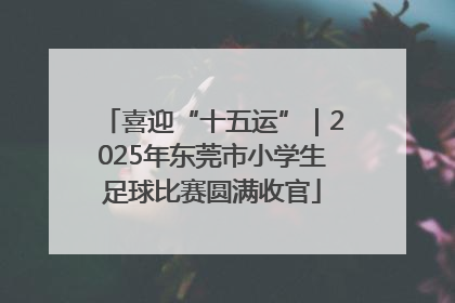 喜迎“十五运”｜2025年东莞市小学生足球比赛圆满收官
