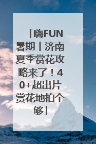 嗨FUN暑期丨济南夏季赏花攻略来了！40+超出片赏花地拍个够