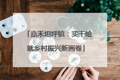 嘉禾坦坪镇：实干绘就乡村振兴新画卷