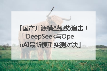 国产开源模型强势追击！DeepSeek与OpenAI最新模型实测对决