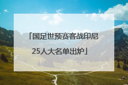 国足世预赛客战印尼25人大名单出炉