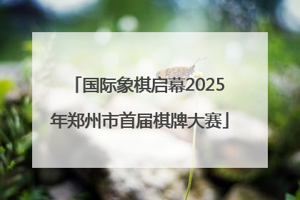 国际象棋启幕2025年郑州市首届棋牌大赛