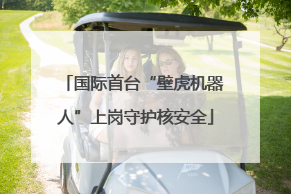 国际首台“壁虎机器人”上岗守护核安全