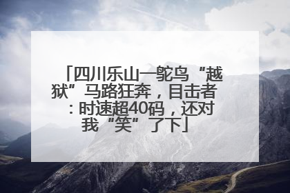 四川乐山一鸵鸟“越狱”马路狂奔，目击者：时速超40码，还对我“笑”了下