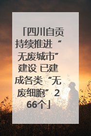 四川自贡持续推进“无废城市”建设 已建成各类“无废细胞”266个