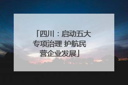 四川：启动五大专项治理 护航民营企业发展