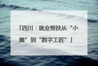 四川：就业帮扶从“小摊”到“数字工匠”