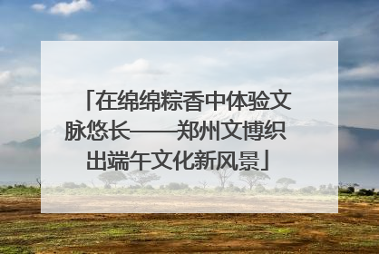 在绵绵粽香中体验文脉悠长——郑州文博织出端午文化新风景
