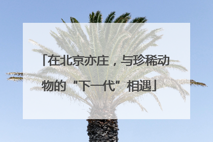 在北京亦庄，与珍稀动物的“下一代”相遇
