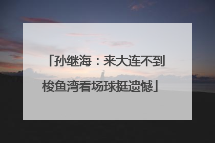 孙继海：来大连不到梭鱼湾看场球挺遗憾