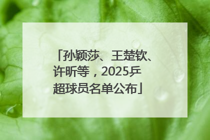 孙颖莎、王楚钦、许昕等，2025乒超球员名单公布