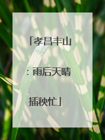 孝昌丰山：雨后天晴插秧忙
