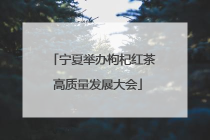 宁夏举办枸杞红茶高质量发展大会