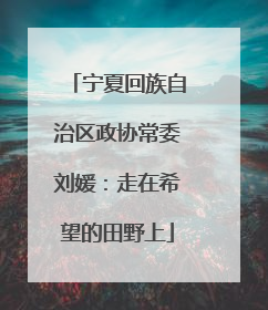 宁夏回族自治区政协常委刘媛：走在希望的田野上