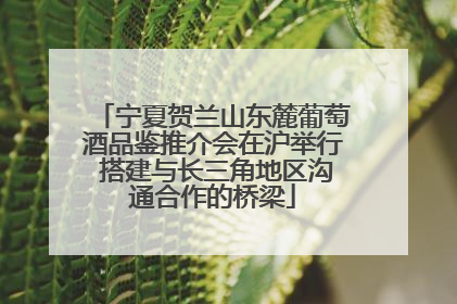 宁夏贺兰山东麓葡萄酒品鉴推介会在沪举行 搭建与长三角地区沟通合作的桥梁