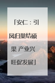 安仁：引凤归巢结硕果 产业兴旺促发展