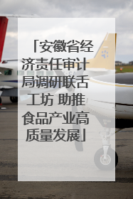 安徽省经济责任审计局调研联舌工坊 助推食品产业高质量发展