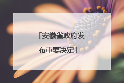 安徽省政府发布重要决定