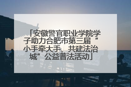 安徽警官职业学院学子助力合肥市第三届“小手牵大手、共建法治城”公益普法活动