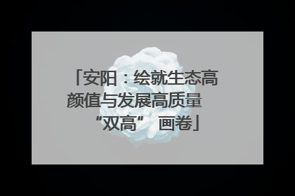 安阳：绘就生态高颜值与发展高质量 “双高” 画卷