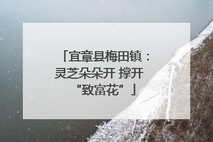 宜章县梅田镇：灵芝朵朵开 撑开“致富花”