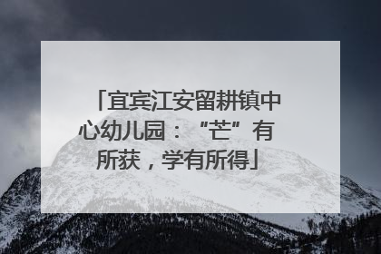 宜宾江安留耕镇中心幼儿园：“芒”有所获，学有所得